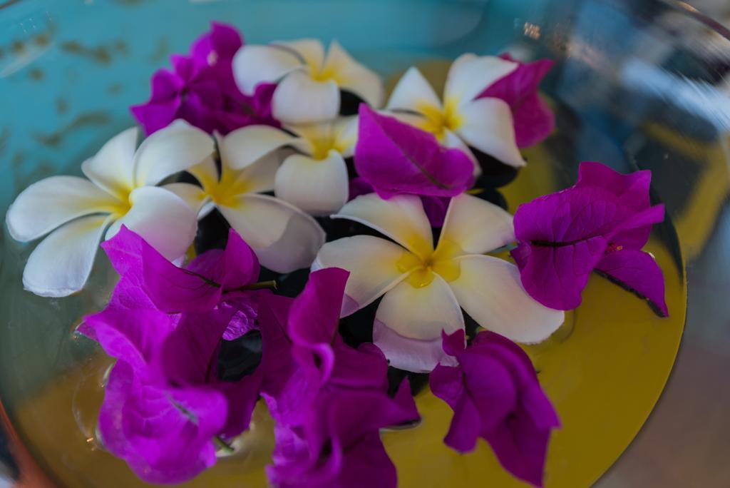 Villa Lodge 4 Epices Gustavia Ngoại thất bức ảnh